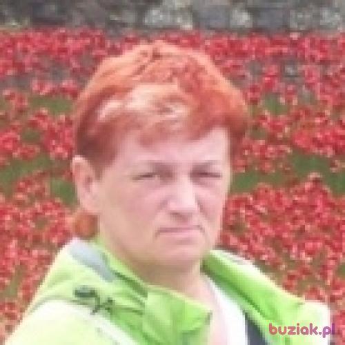 rensta62, Kobieta, 62 lata, Zielona Góra