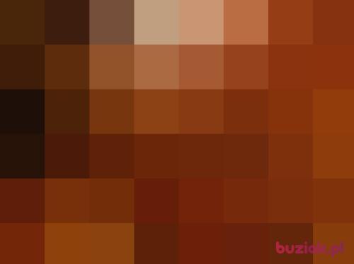 elwariator, Mężczyzna, 30 lat, Warszawa