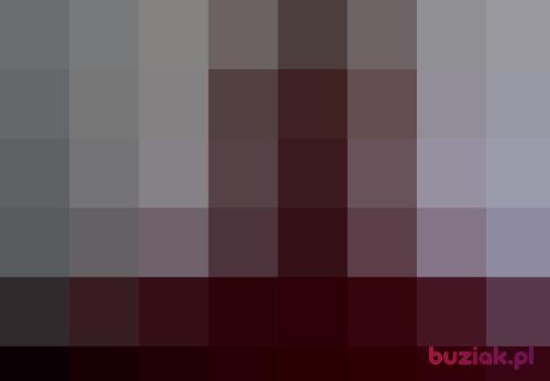 Tomek39wolny, Mężczyzna, 49 lat, Płock