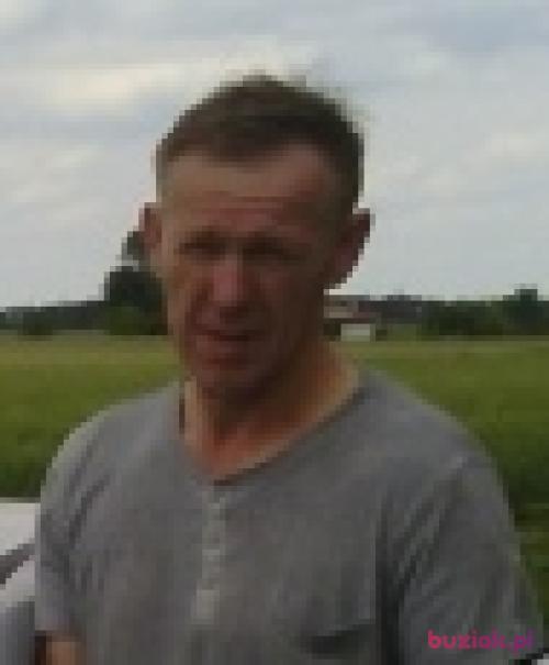 krzys43, Mężczyzna, 51 lat, Wągrowiec