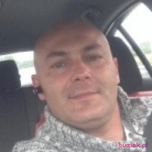 Wolf36, Male, 44 years, Zelandia