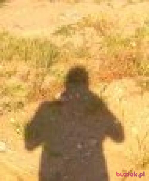 armagedon28, Mężczyzna, 41 lat, Morąg
