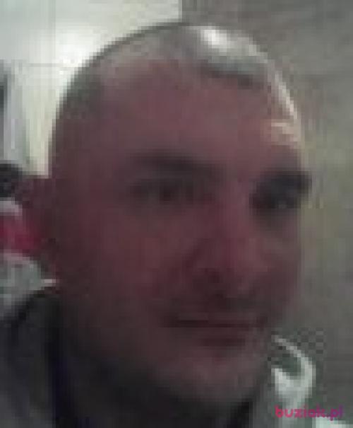 konradwolowiec, Male, 41 years, Radom