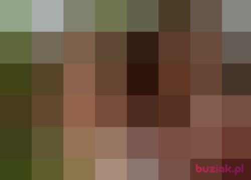 zonaty321, Mężczyzna, 58 lat, Flevoland