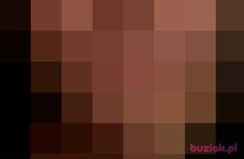 michalek1224, Mężczyzna, 40 lat, Gliwice