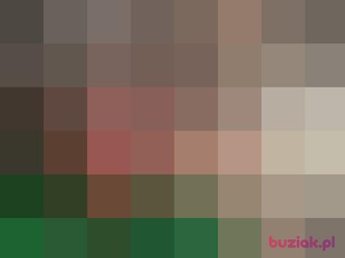 Lambert2, Mężczyzna, 42 lata, Mława