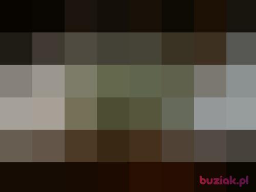 blondynaewe, Kobieta, 53 lata, Koszalin
