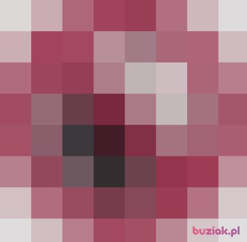 Bogus83, Mężczyzna, 43 lata, Ząbkowice Śląskie