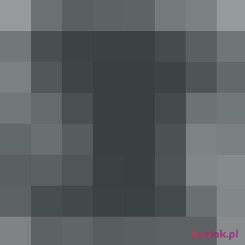 HeSter, Mężczyzna, 51 lat, Gdańsk