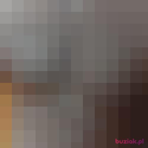 kornel90, Mężczyzna, 36 lat, Breda