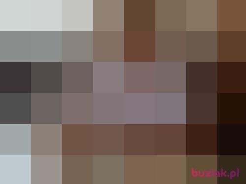 romen, Male, 59 years, Inowrocław