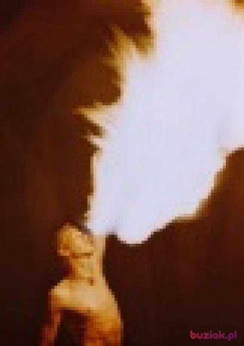 Fire-Breath, Mężczyzna, 39 lat, Poznań