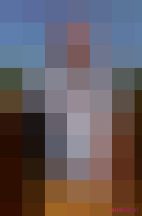 misiulek16, Mężczyzna, 55 lat, śląskie