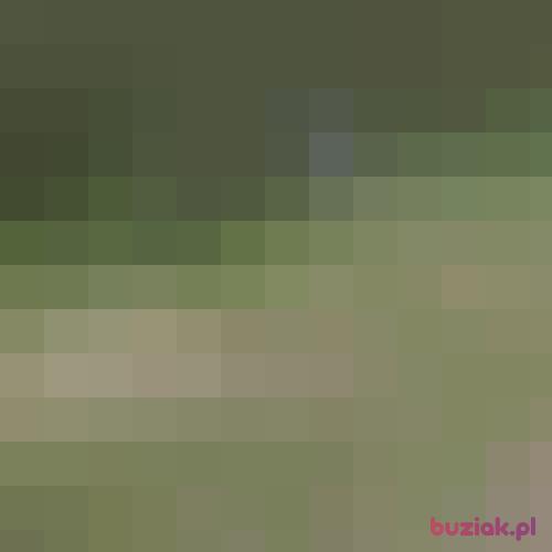 eryk90, Male, 25 years, Rotterdam