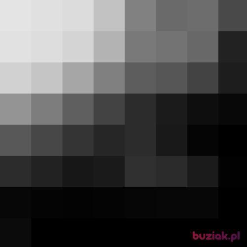 adekkk69, Mężczyzna, 26 lat, Grudziądz