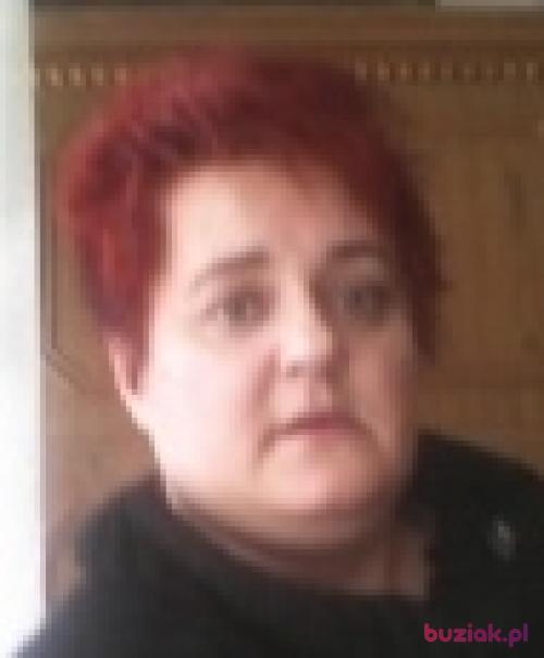 agnieszka1302, Kobieta, 49 lat, Sosnowiec
