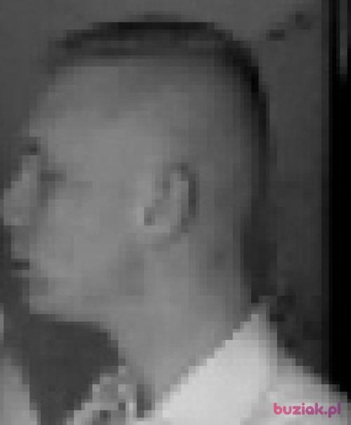 Kanciknl36, Mężczyzna, 31 lat, Limburgia