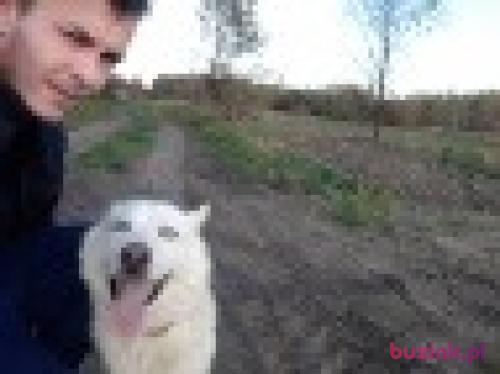 Pasiek, Mężczyzna, 36 lat, Wrocław