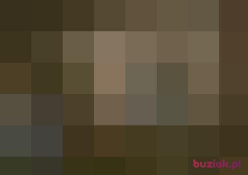 mix122, Mężczyzna, 52 lata, Czechowice-Dziedzice