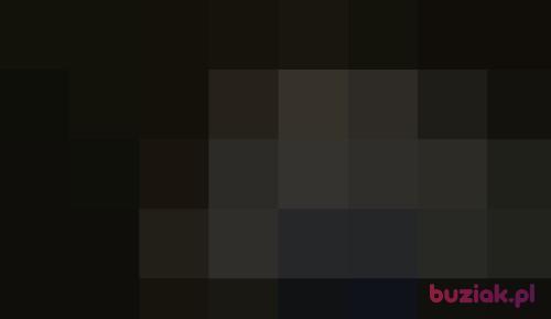 holigans123, Male, 30 years, Leszno