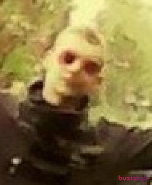 Bongosik19, Mężczyzna, 28 lat, Kętrzyn