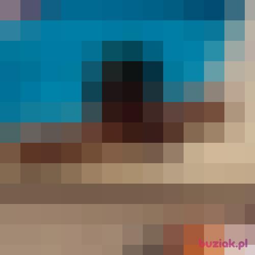 Ediwin, Male, 52 years, Bogatynia