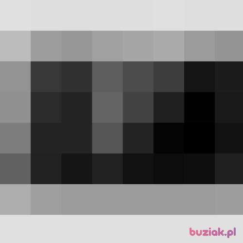zuzaa136, Kobieta, 25 lat, Włocławek