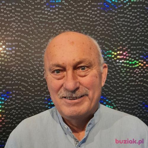 wieslaw53, Male, 73 years, Inowrocław