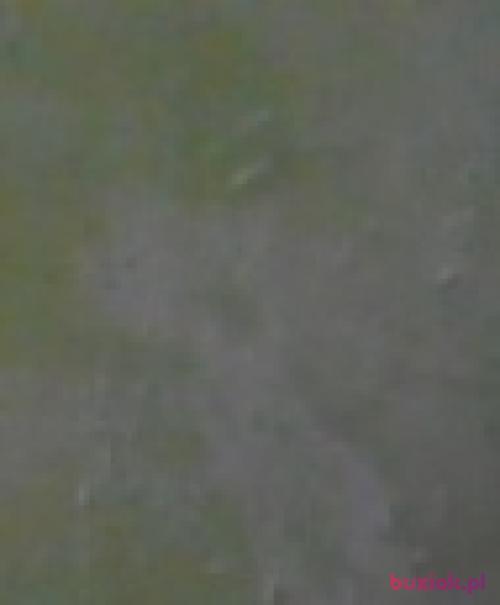Bruno1995, Mężczyzna, 31 lat, Jawor