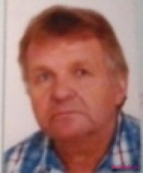 Jerzyb, Mężczyzna, 71 lat, Bytom