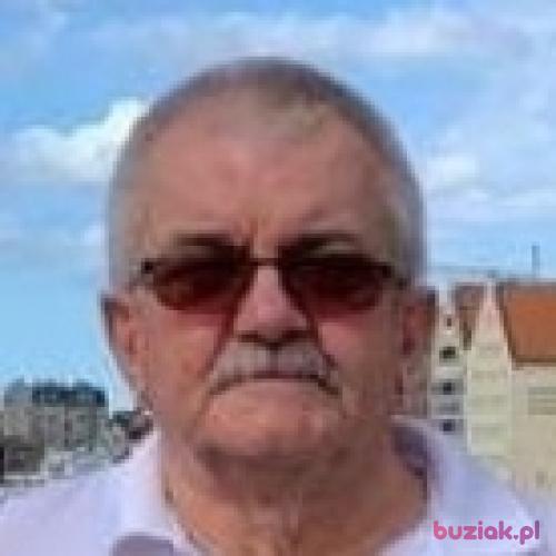 borysow38, Mężczyzna, 76 lat, Częstochowa