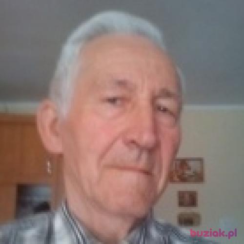 ynrog, Male, 81 years, Kowalewo Pomorskie